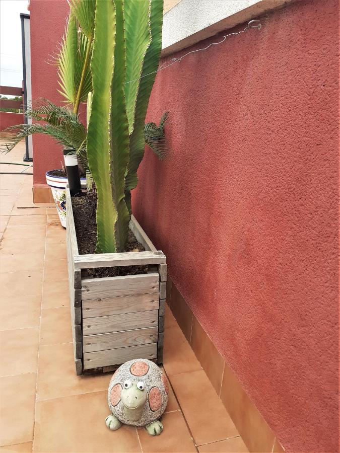 Casa Ohana Solarium, Jacuzzi,Piscine,Tout Confort 奥里韦拉 外观 照片